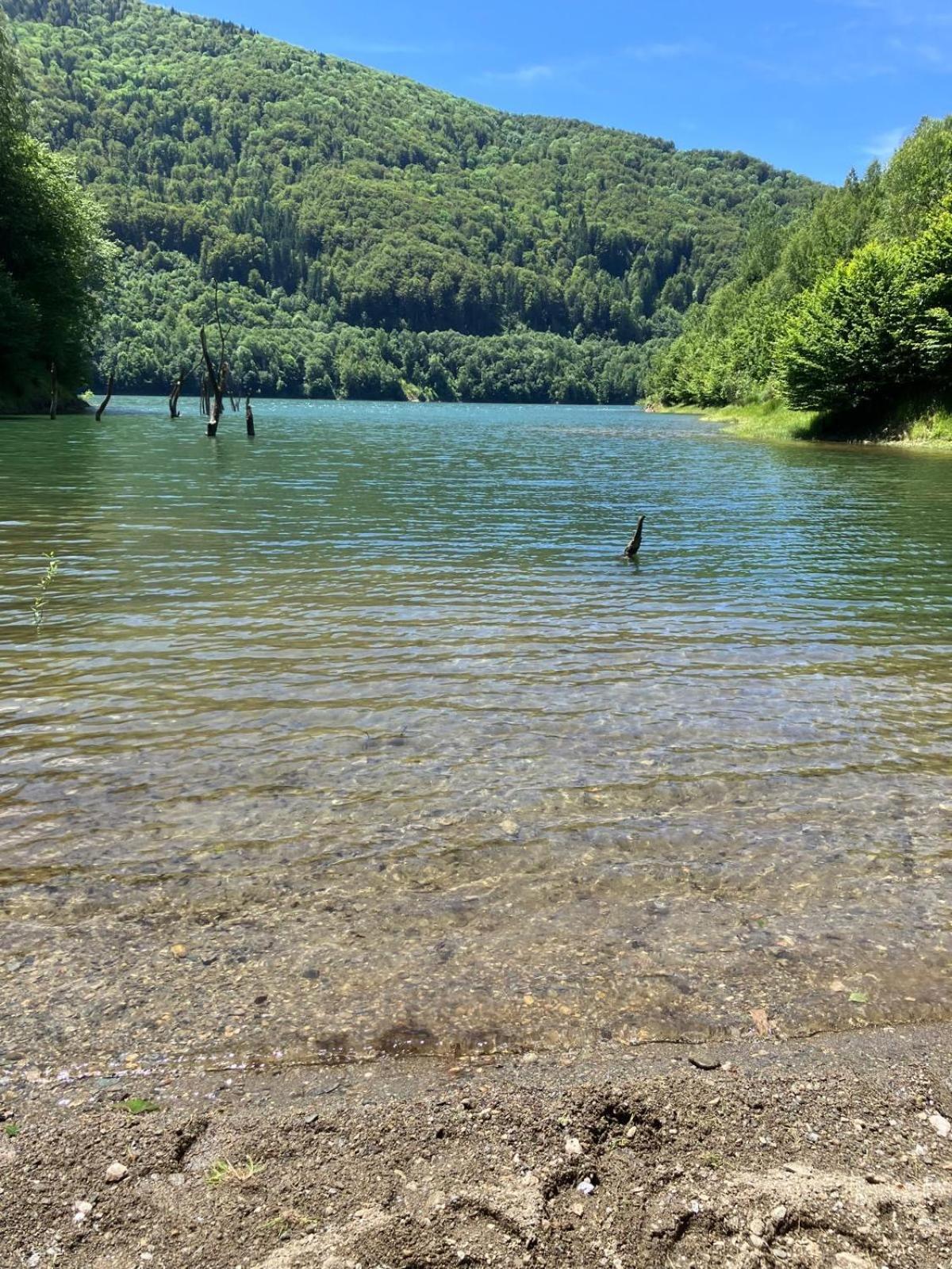 Vilabelvedere Scorilo Poiana Mărului Buitenkant foto